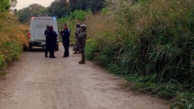 Hallazgo macabro en las cercanías del CBTA de Chetumal