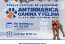 Anuncian semana nacional antirrábica - Noticias de Quintana Roo