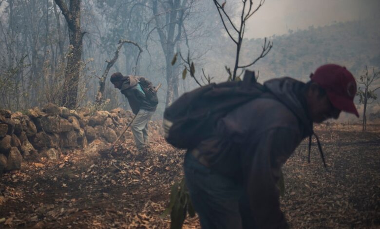 Gobierno reporta 116 incendios forestales activos en México