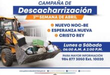 Calendario semanal de descacharrización - Noticias de Quintana Roo