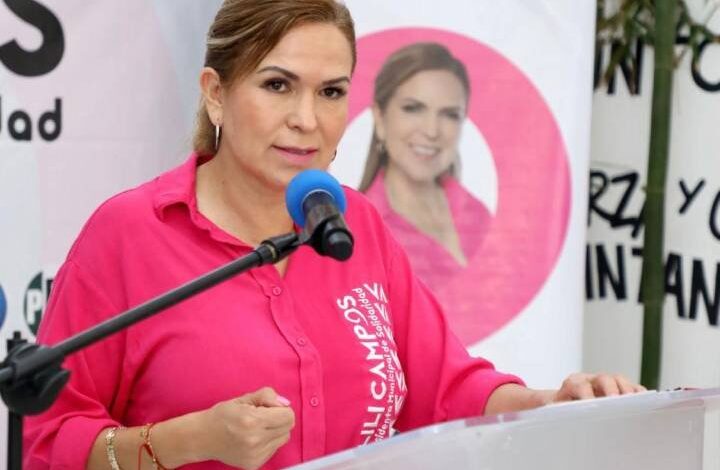 Estefanía Mercado ya quedó a deber a los solidarenses como diputada: Lili Campos