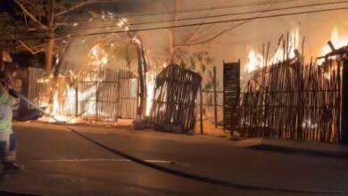 Incendio Devasta Locales en la Terraza Xaman-Ha, en el Corazón de Tulum