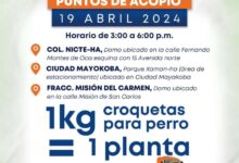 Invitan a participar al Kilo Verde y Croquetón