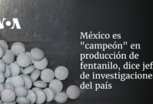 México es "campeón" en producción de fentanilo, dice jefe de investigaciones del país