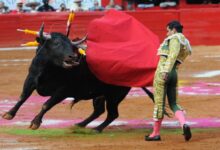 Por tercera vez, suspenden corridas de toros en la Plaza México de CDMX - El Occidental