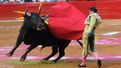 Por tercera vez, suspenden corridas de toros en la Plaza México de CDMX - El Occidental