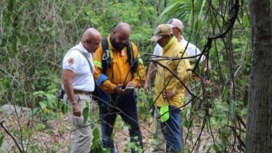 Recomendaciones ante incendios forestales - Noticias de Quintana Roo