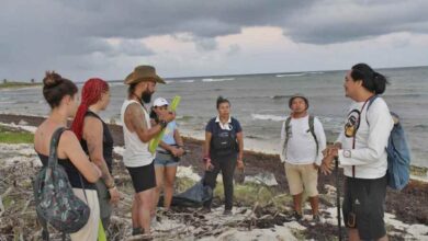 Comunicado de la Fundación de Parques y Museos de Cozumel. 16 de junio de 2024