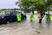 Reacción inmediata del gobierno municipal ante lluvias intensas