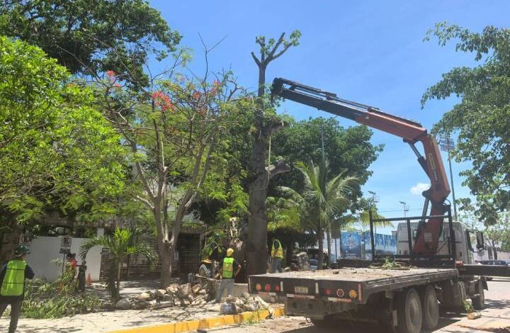 Colaboración entre gobierno y sector privado para proteger el medio ambiente