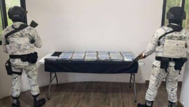 Incautan 25 Kilos de Cocaína en Tulum