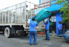 Solidaridad toma medidas de precaución contra el dengue