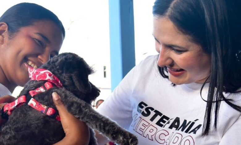 Anuncian clínica de bienestar animal en Playa del Carmen: Estefanía Mercado