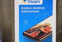 Vivam, la App que revolucionará el turismo en Solidaridad y Riviera Maya