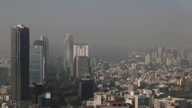 México hace todo lo posible para proteger tratado comercial con EEUU y Canadá, dice funcionario